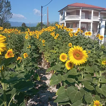 η αυλή Apartament Aridaía