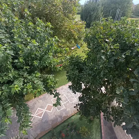 η αυλή
