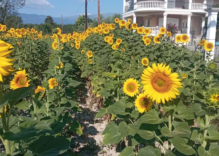 Η Αυλή Apartament Aridaía