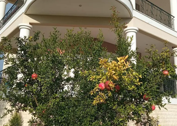 η αυλή