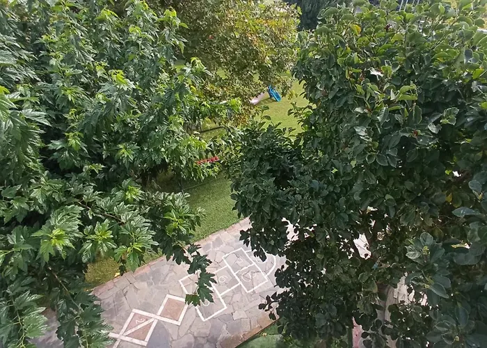 η αυλή
