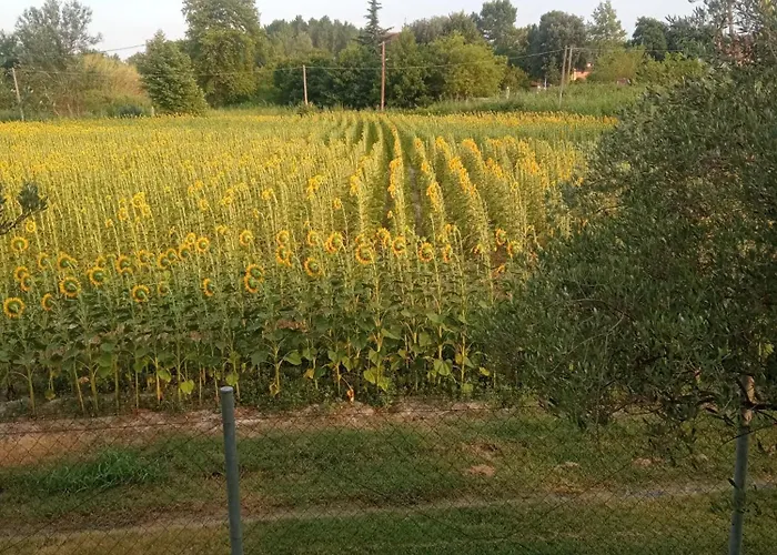 Η Αυλή Apartament Aridaía